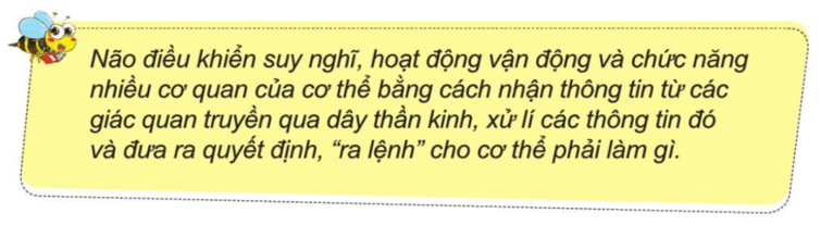 Tự nhiên xã hội lớp 3 Cánh diều Bài 17 trang 94 Câu hỏi