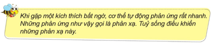 Tự nhiên xã hội lớp 3 Cánh diều Bài 17 trang 95 Câu hỏi