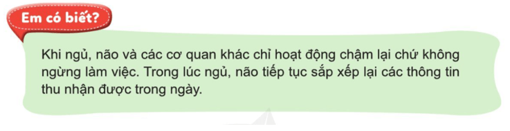 Tự nhiên xã hội lớp 3 Cánh diều Bài 17 trang 95 Câu hỏi