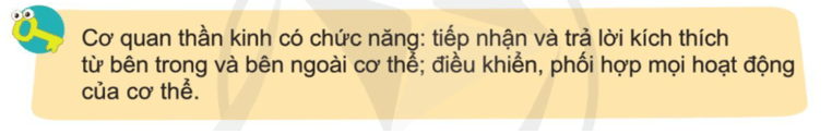 Tự nhiên xã hội lớp 3 Cánh diều Bài 17 trang 96 Câu hỏi