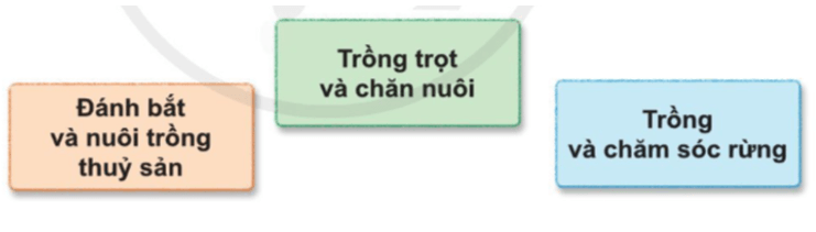 Tự nhiên xã hội lớp 3 Cánh diều Bài 9 trang 43 Quan sát