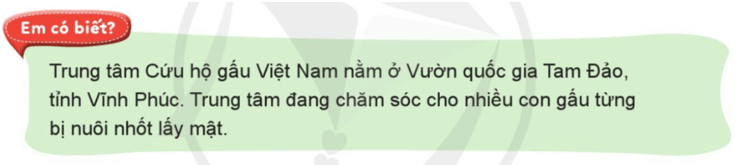 Tự nhiên xã hội lớp 3 Cánh diều Bài 14 trang 78 Quan sát