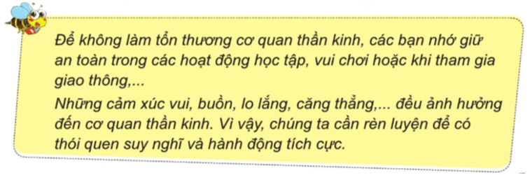 Tự nhiên xã hội lớp 3 Cánh diều Bài 117 trang 97 Quan sát