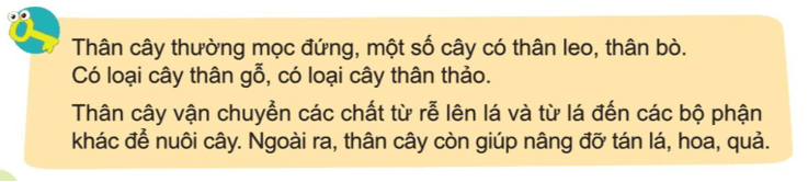 Tự nhiên xã hội lớp 3 Cánh diều Bài 12 trang 66 Câu hỏi