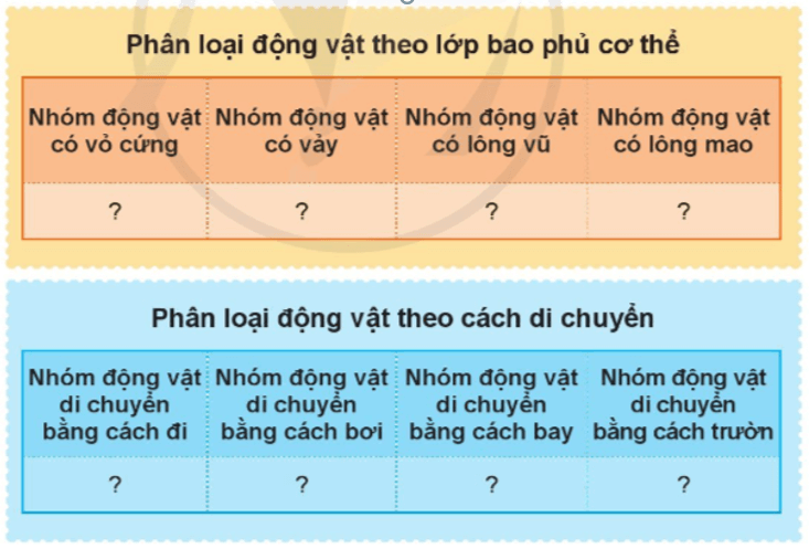 Tự nhiên xã hội lớp 3 Cánh diều Bài 13 trang 73 Thực hành