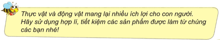 Tự nhiên xã hội lớp 3 Cánh diều Bài 14 trang 79 Thực hành