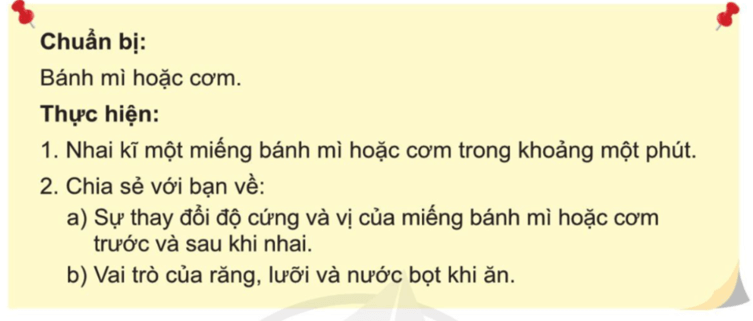 Tự nhiên xã hội lớp 3 Cánh diều Bài 15 trang 85 Thực hành