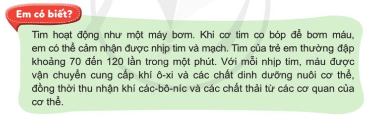 Tự nhiên xã hội lớp 3 Cánh diều Bài 16 trang 89 Thực hành