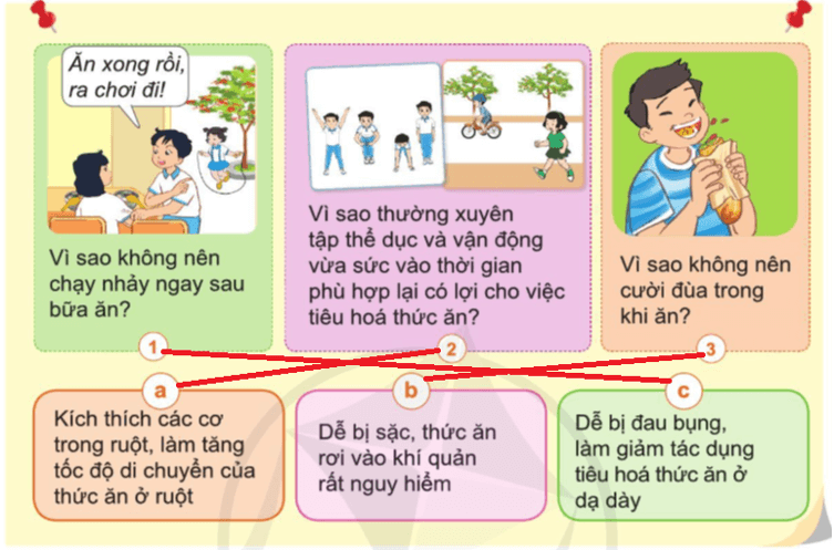 Tự nhiên xã hội lớp 3 Bài 15 trang 87 Trò chơi | Cánh diều