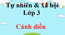 Tự nhiên và xã hội lớp 3 Cánh diều | Giải Tự nhiên xã hội lớp 3 | Giải bài tập Tự nhiên và xã hội lớp 3 hay nhất