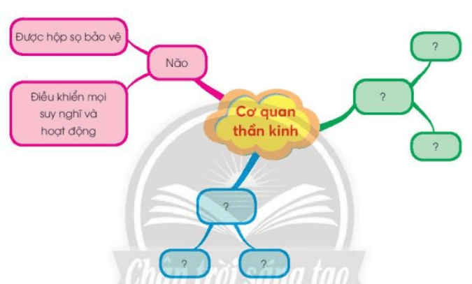 Tự nhiên xã hội lớp 3 Bài 25 trang 106 Câu 1