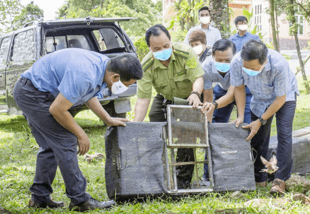 Tự nhiên xã hội lớp 3 Bài 19 trang 81 Câu 3