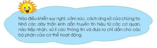 Tự nhiên xã hội lớp 3 Bài 22 trang 98 Nhận thức