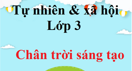 Tự nhiên và xã hội lớp 3 Chân trời sáng tạo | Giải Tự nhiên xã hội lớp 3 | Giải bài tập Tự nhiên và xã hội lớp 3 hay nhất