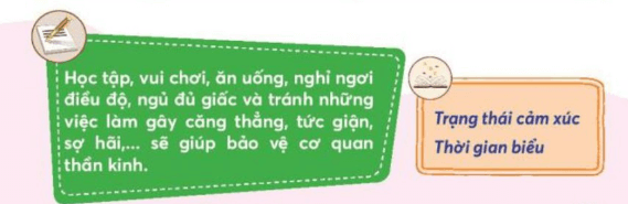 Tự nhiên xã hội lớp 3 Bài 22 trang 101  Vận dụng