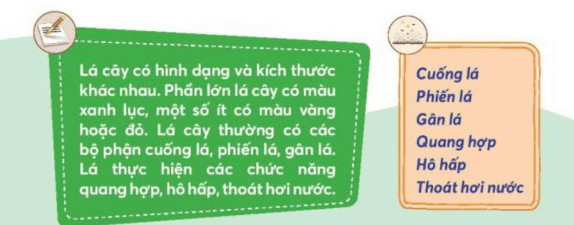 Tự nhiên xã hội lớp 3 Bài 15 trang 63 Vận dụng | Chân trời sáng tạo