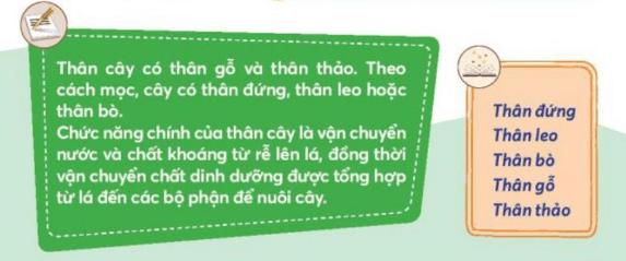 Tự nhiên xã hội lớp 3 Bài 15 trang 65 Vận dụng