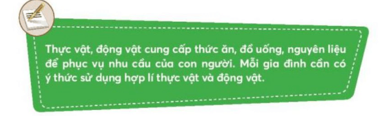 Tự nhiên xã hội lớp 3 Bài 18 trang 77, 78, 79 Vận dụng