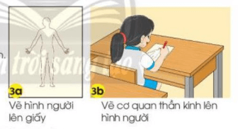 Tự nhiên xã hội lớp 3 Bài 22 trang 97  Vận dụng