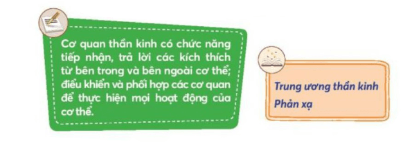 Tự nhiên xã hội lớp 3 Bài 22 trang 99  Vận dụng