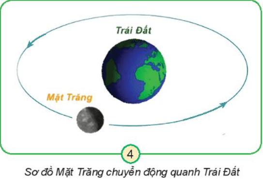 Tự nhiên xã hội lớp 3 Bài 29 trang 116, 117 Khám phá