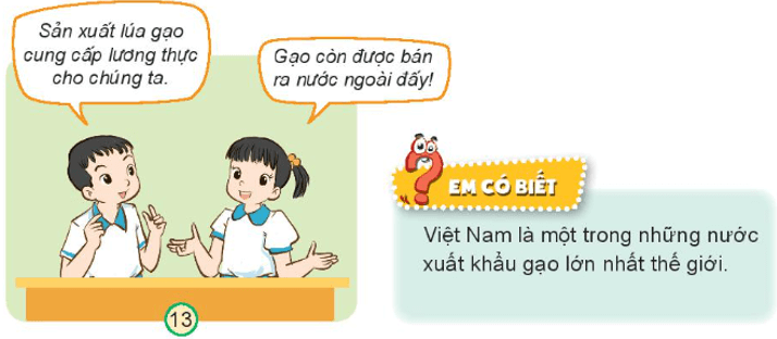 Tự nhiên xã hội lớp 3 Bài 9 trang 38 Khám phá