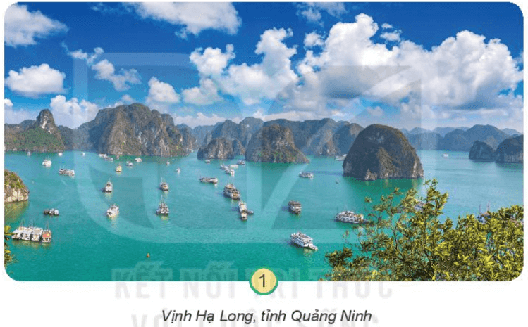 Tự nhiên xã hội lớp 3 Bài 11 trang 48, 49 Khám phá