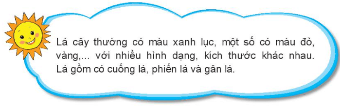 Tự nhiên xã hội lớp 3 Bài 13 trang 57 Khám phá