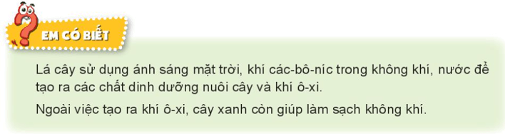 Tự nhiên xã hội lớp 3 Bài 14 trang 61 Khám phá