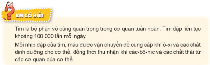 Tự nhiên xã hội lớp 3 Bài 20 trang 82, 83 Khám phá