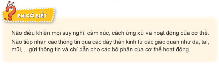 Tự nhiên xã hội lớp 3 Bài 22 trang 90, 91 Khám phá