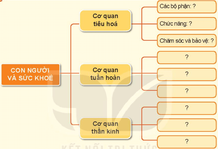 Tự nhiên xã hội lớp 3 Bài 25 trang 100 Thực hành