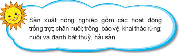 Tự nhiên xã hội lớp 3 Bài 9 trang 37 Thực hành - Kết nối tri thức