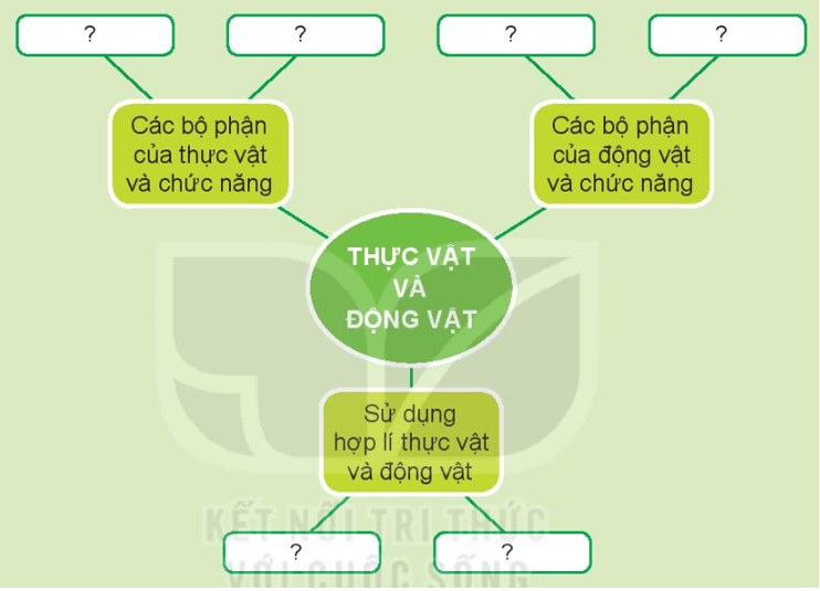 Tự nhiên xã hội lớp 3 Bài 17 trang 72 Thực hành