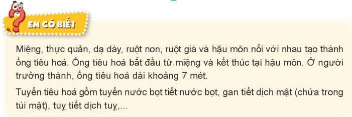 Tự nhiên xã hội lớp 3 Bài 18 trang 75 Thực hành