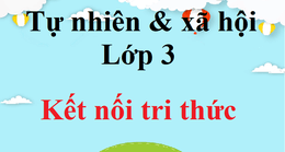 Tự nhiên và xã hội lớp 3 Kết nối tri thức | Giải Tự nhiên xã hội lớp 3 | Giải bài tập Tự nhiên và xã hội lớp 3 hay nhất