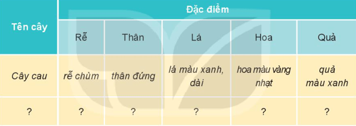 Tự nhiên xã hội lớp 3 Bài 13 trang 59 Vận dụng