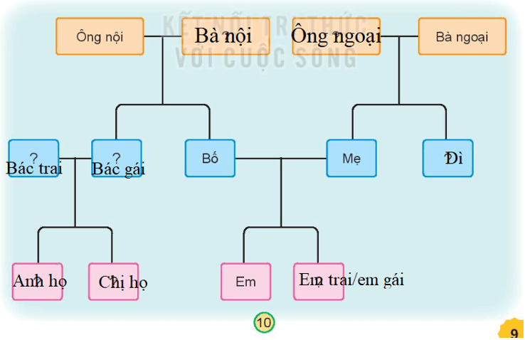 Tự nhiên xã hội lớp 3 Bài 1 Trang 9 Vận dụng - Kết nối tri thức