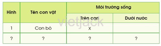 Bài 11: Môi trường sống của thực vật và động vật hay nhất