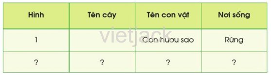 Bài 11: Môi trường sống của thực vật và động vật hay nhất