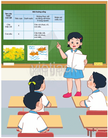 Bài 13: Thực hành: Tìm hiểu môi trường sống của thực vật và động vật hay nhất