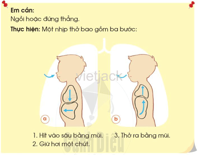 Bài 17: Bảo vệ cơ quan hô hấp hay nhất