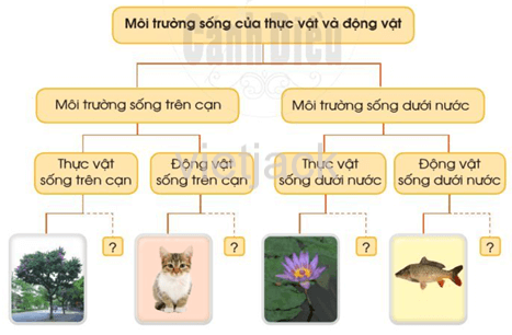 Ôn tập và đánh giá - Chủ đề Thực vật và động vật hay nhất