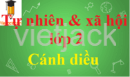 Tự nhiên và xã hội lớp 2 Cánh diều - Giải Tự nhiên và Xã hội lớp 2 hay nhất