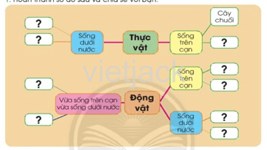 Bài 18: Ôn tập chủ đề thực vật và động vật