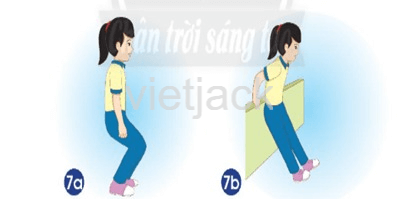 Bài 19: Cơ quan vận động