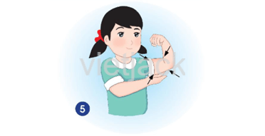 Bài 19: Cơ quan vận động