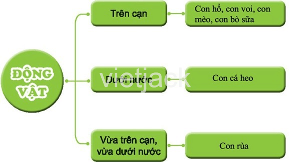 Bài 17: Động vật sống ở đâu