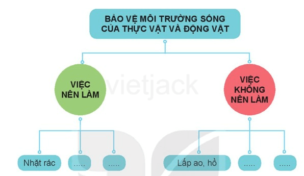 Bài 19: Thực vật và động vật quanh em