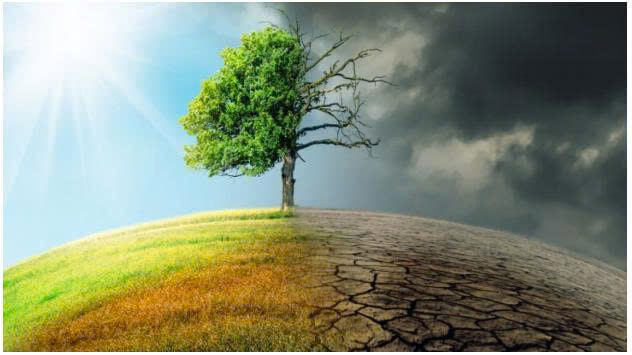 10+ Đoạn văn nghị luận xã hội về hiện tượng biến đổi khí hậu (siêu hay) (ảnh 1)